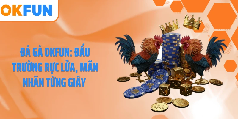 Đá Gà OKFUN: Đấu Trường Rực Lửa, Mãn Nhãn Từng Giây 